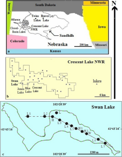 Late Holocene climate change inferred from the lithology and chemical stratigraphy of sediment cores from Swan Lake, Nebraska Sandhills, USA