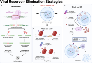 Advances in HIV therapeutics and cure strategies: findings obtained through non-human primate studies.