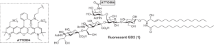 Fluorescent GD2 analog for single-molecule imaging.