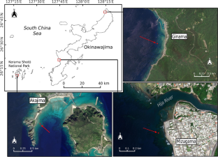 Distribution and molecular phylogeny of the octocoral genus Nanipora (Helioporidae) in the western Pacific