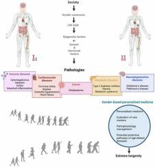 New frontiers in ageing and longevity: Sex and gender medicine