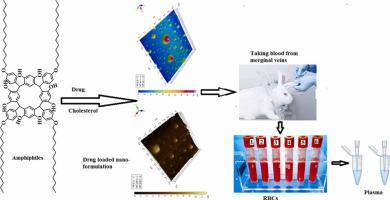 Synthetic star shaped tetra-tailed biocompatible supramolecular amphiphile as an efficient nanocarrier for Amphotericin B