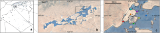 Extreme and Heterogeneous Conditions of the Desert Wetland Chott Ech Chergui (Algeria) Allow Isolating Halophilic, Alkalophilic and Thermophilic Bacteria