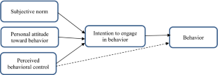 Why Work Around the Process? Analyzing Workarounds Through the Lens of the Theory of Planned Behavior