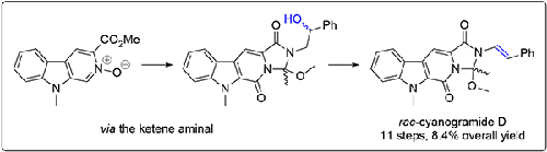 N-Oxide Route to the Marine Natural Product Cyanogramide D