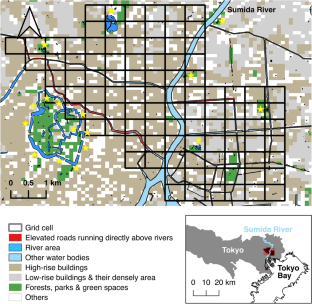 Can rivers be important movement corridor for waterbirds in urban areas?