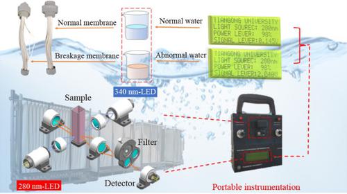 Portable fluorescence instrument for detecting membrane integrity in membrane bioreactor (MBR)