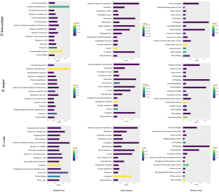 Gene clustering and co-expression analysis for the identification of putative transcription factors associated with the genes of secondary metabolic pathways in Plantago ovata Forsk. and its wild allies