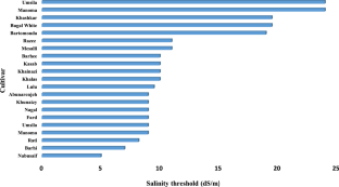 Salinity stress in date palm (Phoenix dactylifera L.): tolerance, mechanisms and mitigation