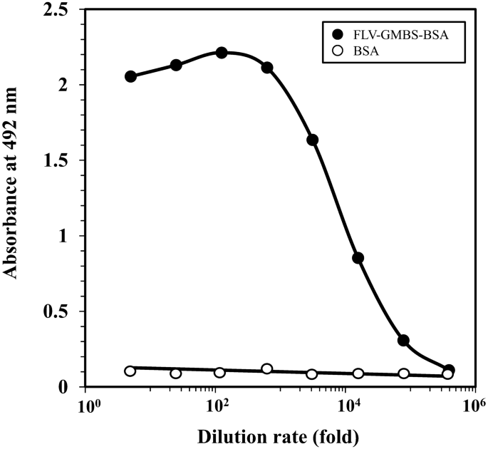 Development of immunohistochemistry for detecting fluvoxamine in rat tissues using newly prepared monoclonal antibody: its precise localization in small intestine, kidney, and liver of rats.