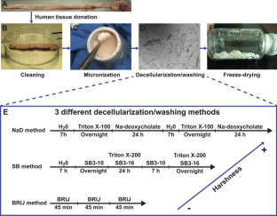 Characterization of three washing/decellularization procedures for the production of bioactive human micronized neural tissue (hMINT).