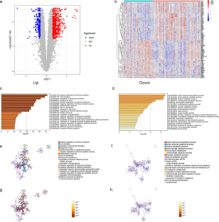 SCD1 inhibits HBV replication by regulating autophagy under high lipid conditions.