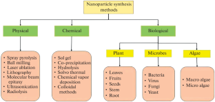 Plant Extract-Mediated Synthesis of Ag-Doped ZnO: Eco-Friendly Nanomaterial for Environmental Restoration, Microbial Inhibition, Cell Toxicity, Antioxidant Potential, and Sensing