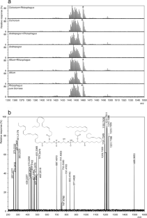 Can cardiolipins be used as a biomarker for arbuscular mycorrhizal fungi?