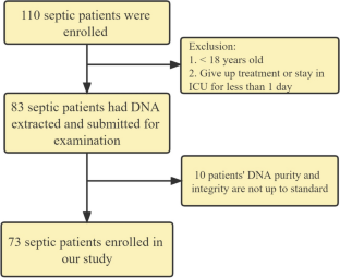 Causal relationship between gut Prevotellaceae and risk of sepsis: a two-sample Mendelian randomization and clinical retrospective study in the framework of predictive, preventive, and personalized medicine