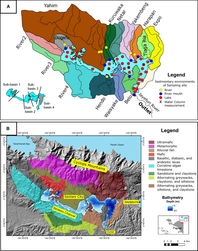 Surface sediment composition and depositional environments in tropical Lake Sentani, Papua Province, Indonesia