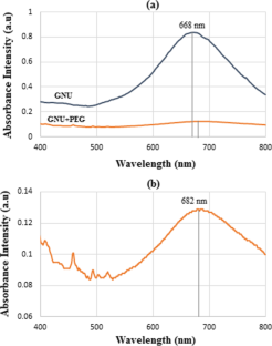 Characterization of breast cancer antibody (anti-HER-II) conjugated on PEGylated gold nanourchin for active targeting