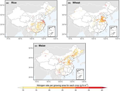 CN-N: A gridded dataset of nitrogen rate for rice, wheat and maize in China developed using the county-level nitrogen statistics