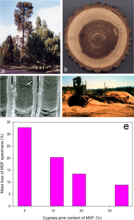 Wood Protection for Carbon Sequestration — a Review of Existing Approaches and Future Directions