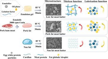 Functional performance of a novel emulsion gel-based pork fat mimics in low-fat meat batter system: Incorporation of physicochemical and oral processing