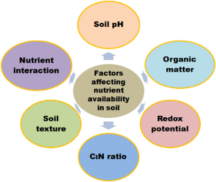 Impact of cropping systems on pedogenic distribution and transformations of micronutrients, plant accumulation and microbial community composition in soils: a review