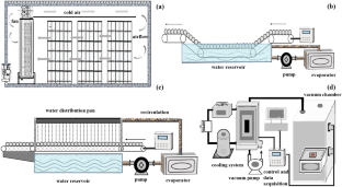 Research Progress in Simultaneous Heat and Mass Transfer of Fruits and Vegetables During Precooling