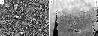 Structure and Distribution of Chemical Elements in the Transition Zone in Deposited VT20 and VT1-0 Alloy Samples