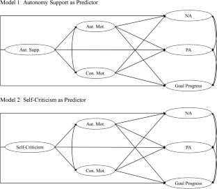 A multilevel perspective on self-determination theory: Predictors and correlates of autonomous and controlled motivation