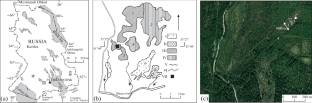 Long-Term Monitoring of Vegetation Cover on Drained Mires of South Karelia (Mesotrophic Herb–Sphagnum Mire)