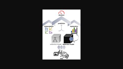 Interpretable and explainable machine learning: A methods‐centric overview with concrete examples