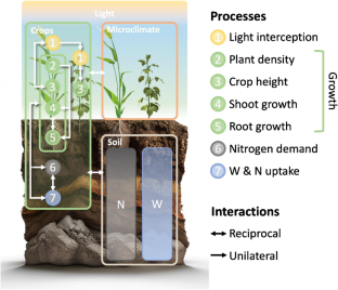 Modeling soil-plant functioning of intercrops using comprehensive and generic formalisms implemented in the STICS model