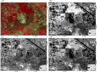 Characterizing fuel flammability in a tropical dry community forest in Eastern India using laboratory and remote sensing based approaches