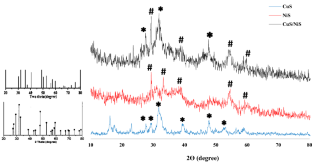 Synthesis of CuS/NiS heterostructural photocatalyst and its performance in the degradation of metronidazole and diclofenac drugs: optimization of operating conditions