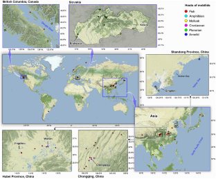 A holistic approach to inventory the diversity of mobilid ciliates (Protista: Ciliophora: Peritrichia)