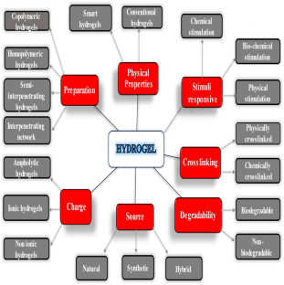 Protein Hydrogels: A Concise Review of Properties and Applications