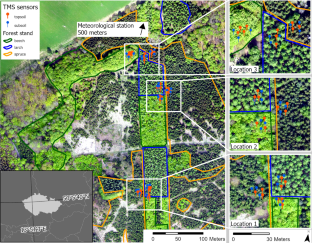 Tree trait-mediated differences in soil moisture regimes: a comparative study of beech, spruce, and larch in a drought-prone area of Central Europe