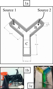 The role of chemical cues in locating the host pelagic Sargassum spp. by the symbiotic fish Stephanolepis hispidus