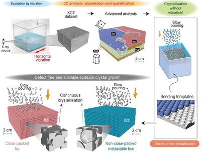 Gravity enables self‐assembly