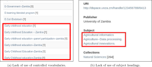 Controlled vocabularies in digital libraries: challenges and solutions for increased discoverability of digital objects