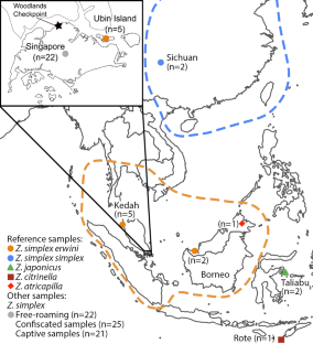 Genomic data reveal shift in geographic source of an illegally traded songbird