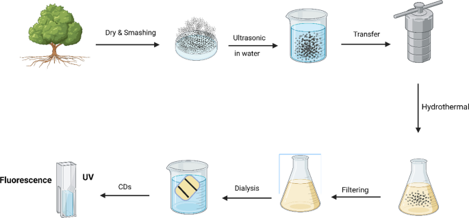 A recent update on development, synthesis methods, properties and application of natural products derived carbon dots