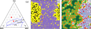 Characterizing the heterogeneity of membrane liquid-ordered domains