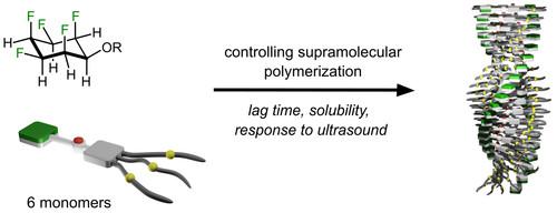 Supramolecular Polymerization of all- cis -Fluorinated Cyclohexanes: Influence of Side Chains