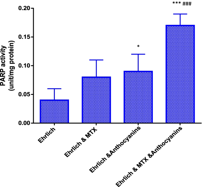 Impact of anthocyanin on genetic stability in mammary adenocarcinoma-induced mice treated with methotrexate