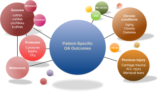 Engineering Closed-Loop, Autoregulatory Gene Circuits for Osteoarthritis Cell-Based Therapies