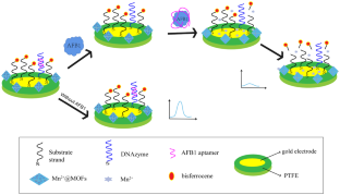 A Reagentless Aptamer Sensor Based on a Self-Powered DNA Machine for Electrochemical Detection of AFB1