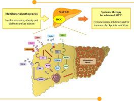 Nonalcoholic fatty liver disease and hepatocellular carcinoma:Insights in epidemiology, pathogenesis, imaging, prevention and therapy