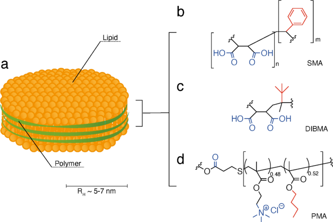 A comparative characterisation of commercially available lipid-polymer nanoparticles formed from model membranes