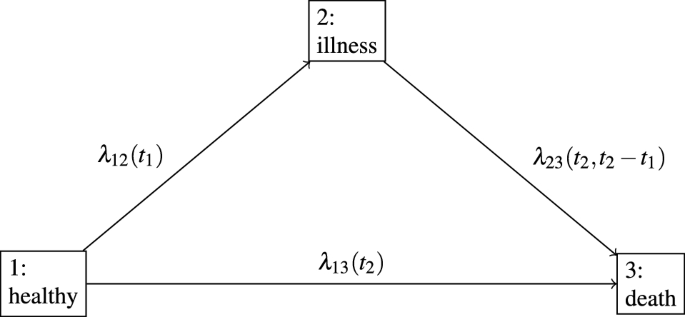 Estimation of separable direct and indirect effects in a continuous-time illness-death model.