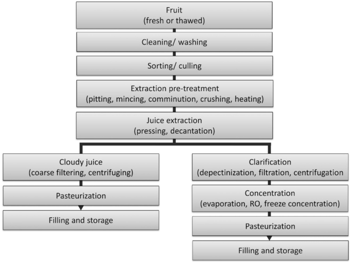 Recent Developments of Membrane Technology in the Clarification and Concentration of Fruit Juices